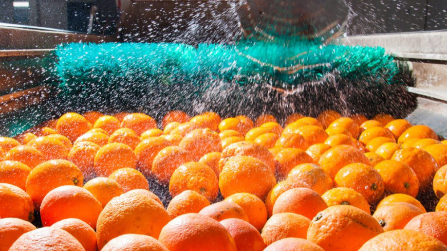 Europa endurece el control del agua y reconfigura la industria alimentaria